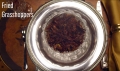 Nikola Kidmena ar kāru muti ēd kukaiņus, tārpus un vaboles (VIDEO) (Maza bilde 14)