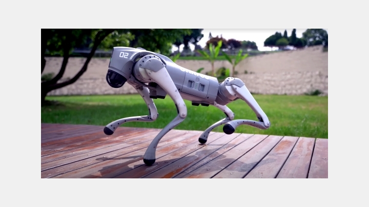 Ķīpsalā ieradies mīļdzīvnieks. Robotsuns! FOTO/VIDEO