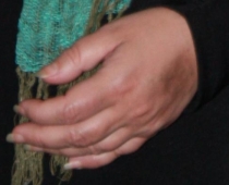 FOGELEI rokas vienos zilumos (FOTO)